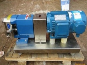 3-2RP食品卫生泵